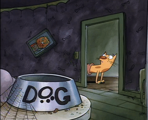nicksplat GIF
