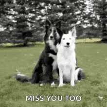 Miss-you-too GIFs - Get the best GIF on GIPHY