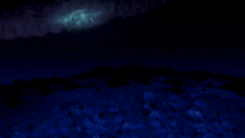 night earth GIF by South Park 