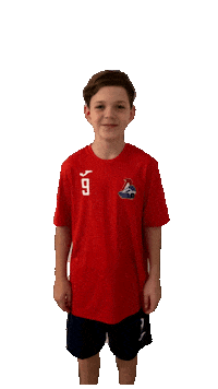 HClokomotiv children loko Sticker