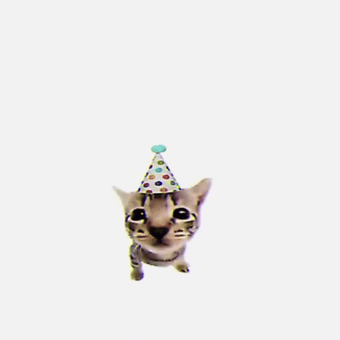Happy New Year Cute Cat GIF by Respective