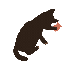 Cat Kitty Sticker