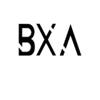 bixairclothing fashion tuning bxa bixair Sticker