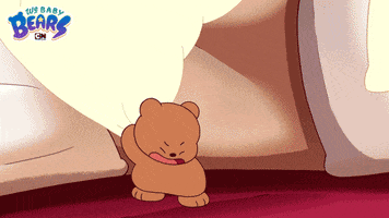Ice Bear Bears GIF by Cartoon Network