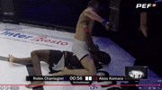 Mma Robin GIF by Old School Academy