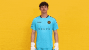 South Carolina Applause GIF by Charleston Battery