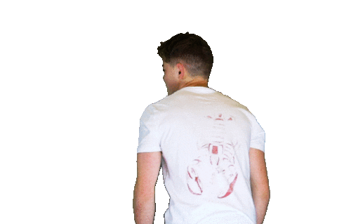 Photo Shoot Lol Sticker by Blobfish Media