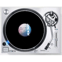 Vinyl Coliseum Sticker by Coliseum_Almudevar