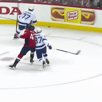 stanley cup nhl GIF