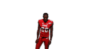 Utah Utes Sticker by Utah Football