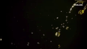 trump tapes GIF by THE HUNT FOR THE TRUMP TAPES