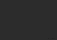 Panda Bear GIF