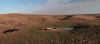 nebraska GIF