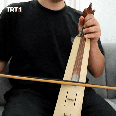 Dance Celebrate GIF by TRT