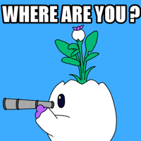 Where Are You Waiting GIF by Magic Eden