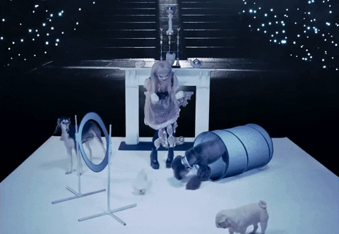 Dog Show GIF by Jazmin Bean