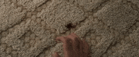 mother movie GIF by mother!