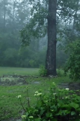 Flash Flooding in Texas