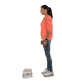 vitamelle detox melanie darmgezondheid vitamelle Sticker