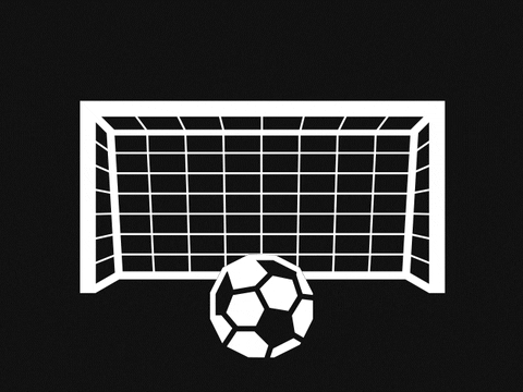 Football Soccer GIF by Sofascore