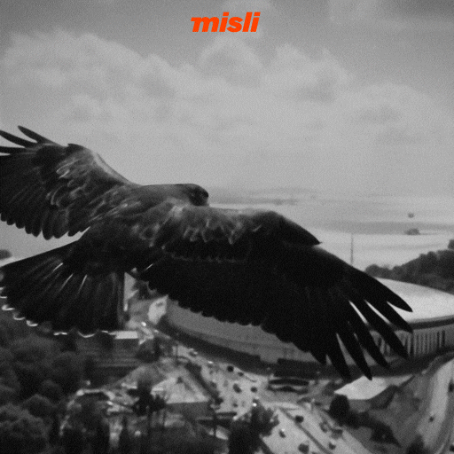 Galatasaray Tammyabraham GIF by Misli