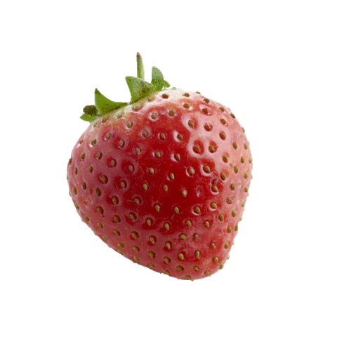 fraise goutezauvrai Sticker by danslevrai