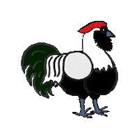 Rooster Chickens Sticker