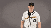 Cal State La Baseball GIF by Cal State LA Golden Eagles