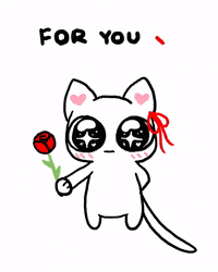 catAndGreyhound i love you relationship cute cat flower for you GIF