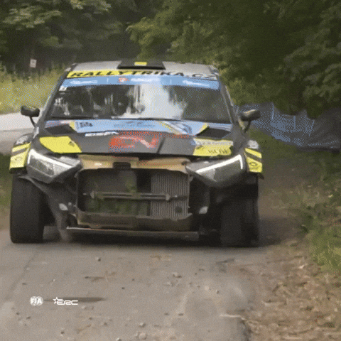 Messed Up Cooler GIF by FIA European Rally Championship