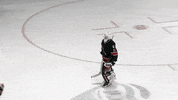 hockey fist bump GIF by Greenville Swamp Rabbits