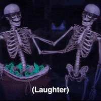 Friends Laugh GIF by Adult Swim