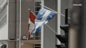 viceland GIF by Dead Set on Life