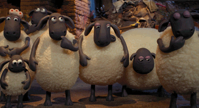 sheep GIF