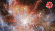 James Webb Stars GIF by ESA Webb Space Telescope