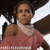 wgn america television GIF by Underground