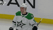 National Hockey League Celebration GIF by Dallas Stars