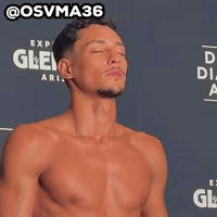 Fight Ufc GIF