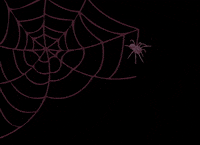 Web Spider GIF