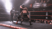 Fight Wrestling GIF by CNL Chile