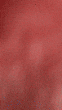 Spongebob Patrick GIF by Youtooz