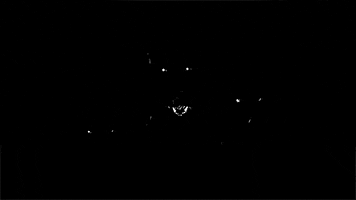 barking love it GIF