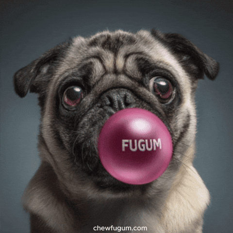 Cool Dog Lol GIF by Fugum