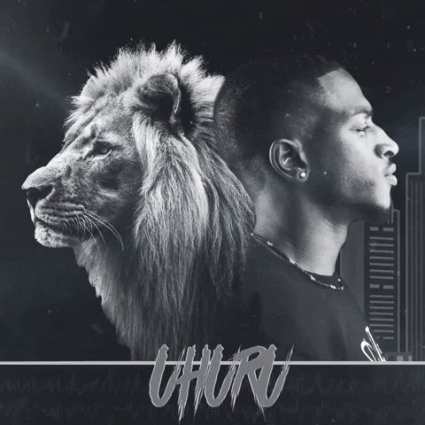 NovaSound music new york hip hop lion GIF