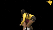 Cuc GIF by CUCougars