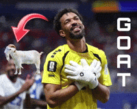 Vozinha GIF