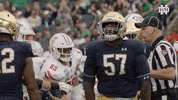 Nodding Yes GIF by Notre Dame Fighting Irish