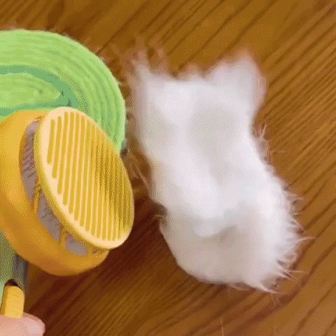 snezanaprebil giphyupload GIF