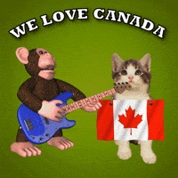 Canada Flag GIF