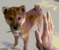 learning GIF